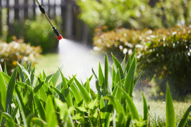 24/7 Emergency Mosquito Control experts in La Quinta, CA